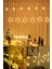 LED Işıklı 8 Modlu Gün Işığı Dekoratif Saçaklı Kar Tanesi ve Yıldızlı Perde LED 1