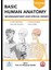 Basic Human Anatomy Set 3lü 4