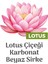 Easy Clean Lotus Çiçeği Yüzey Temizlik Havlusu 3X100 (300 Yaprak) 3