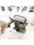 Su Hazneli Kedi ve Köpek Tüyü Toplamama Fırçası Su Hazneli Pet Tarağı 3