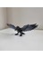 Kartal Kuzgun Yırtıcı Kuş Modeli 20X7 cm 1