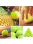 Preofesyonel Tenis Topu 3’lü Paket – Yeşil Renk, Antrenman ve Maç Için Uygun 1