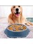 Kedi-Köpek Yavaş Yeme Mama Kabı Obezite Önleyici Sindirim Düzenleyici Mama Kabı 4