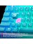 Apex 3 Tkl Rgb Suya ve Toza Dayanıklı Türkçe Gaming Klavye – Mavi 5