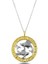 Gümüş Gold Balık Burcu Kolye 1