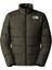 M Mountain Light Triclimate Gtx Jacket Erkek Outdoor Montu (550 Dolgu Kaz Tüyü) NF0A84FCBQW1 Yeşil 2
