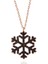 Gümüş Rose Siyah Taşlı Kar Tanesi Kadın Kolye 1