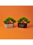 Dekor Bonsai Yapay Çiçek - Asorti - 25X18 cm 3
