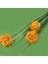 Deco Allium Dal Çiçek - Turuncu - 87 cm 3