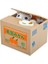 Hareketli Para Çalan Kedi Kumbara (800800) 1