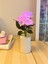 Güllü Dekoratif LED Işıklı Lamba 27 cm x 8 cm 3