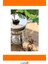 Isıya Dayanıklı Cam French Press 350 ml Paslanmaz Çelik Filtre 3