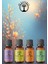Sakin Enerji Seti 4*10ML Esansiyel Uçucu Koku Yağı Buhurdanlık Yağı Aroma Terapi Yağı Difüzör Esansı Ortam Odak Kokusu 1
