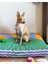 Meadly Minder Kedi ve Köpek Yatağı 3