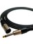 R-Cjxlre3 6,3 mm Mono / Xlr Erkek 3 Metre Enstrüman Kablosu 2