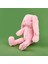 Soft Uyuyan Tavşan Figürlü Yastık - Pembe - 20X35 cm 3