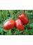 10 Adet Geleneksel Bursa Domates Tohumu 2