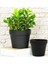 Yalı Saksı 2'li Set – 23X22 cm (6 Litre) & 19X17 cm (3 Litre) Dayanıklı Plastik Saksı 1