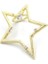 Yıldız Kıkırdak Küpe - Altın 1