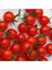 100 Adet Tohum Eko Paket Ithal Pinpon Domates 3