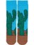 Kaktüs Renkli Çorap 1