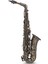 Roy Benson AS-202A Alto Saksafon 1