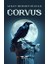 Corvus 1
