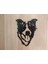 "bala" Border Collie Wallart (Sadece Plastik Aparattır!!!) 3D 2