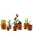 3 Adet LEGO Icons Minik Bitkiler 1