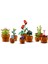 3 Adet LEGO Icons Minik Bitkiler 2