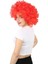 Animasyon Parti ve Palyaço Peruğu / Kırmızı 4