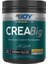 Creabig Powder Creatine Micronized Amino Asit Ananaslı 420 gr 1