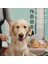 8 Parça Evcil Hayvan Tarak Makas Seti Kedi ve Köpek Bakım Makası Banyo Fırçası Su Kasesi 3