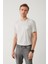 Erkek Gri Bisiklet Yaka Baskılı Soft Touch Regular Fit T-Shirt A41Y1136 8