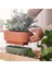 Daksjus Sulama Düzenekli Saksı Terakotta Yeşil 27 x 13 cm 3
