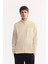 Erkek Ekru Dik Yaka Fermuarlı Soft Touch Polar Regular Fit Sweatshirt A52Y1207 8