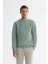 Erkek Mint Yeşil Bisiklet Yaka Pamuklu Nakışlı Regular Fit Sweatshirt A42Y1247 6