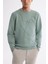 Erkek Mint Yeşil Bisiklet Yaka Pamuklu Nakışlı Regular Fit Sweatshirt A42Y1247 7