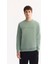 Erkek Su Yeşili Bisiklet Yaka Pamuklu Bi-Stretch Baskılı Regular Fit Sweatshirt A52Y1325 7