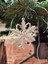 Snowflake Set | 5’li Kar Tanesi Süs Seti (Çoklu Desen, Beyaz Renk) 3