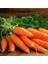 100 Adet Tohum Geleneksel Etli Erkenci Nantes Havuç Ata Tohumu 2