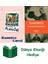Köpek Murakami + Geometri + Dünya Klasiği Hediye 1