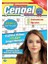 Fenomen Çengel Bulmaca 17 1