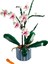 ® Botanicals Orkide 10311 - Yetişkinler için Koleksiyonluk ve Sergilenebilir Çiçek Modeli Yapım Seti (608 Parça) 2