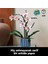 ® Botanicals Orkide 10311 - Yetişkinler için Koleksiyonluk ve Sergilenebilir Çiçek Modeli Yapım Seti (608 Parça) 5