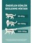 Kuru Kedi Maması Tavuklu Yetişkin Kediler 1,5 Kgx2 4