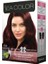 Color Kit Saç Boyası Kestane Kızılı 4.6 1 Adet 1