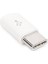 Dark USB Type C Erkek Micro USB Dişi Çevirici 1
