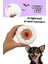 Cadılar Bayramı Temalı Köpek Oyuncak Seti | Hışırtılı Peluş Terlik, Peluş Örümcek ve Göz Oyun Topu 8