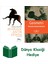 20 Hilede Antik Dünya + Geometri + Dünya Klasiği Hediye 1